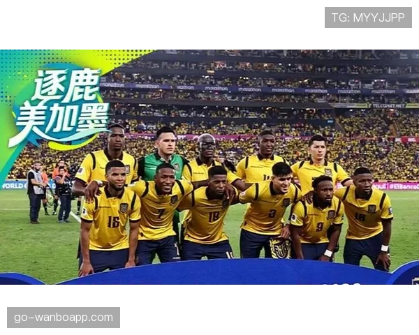 厄瓜多尔2026世界杯小组赛突围前景 高原雄鹰能否再创黑马奇迹 厄瓜多尔2026世界杯小组赛突围前景 高原雄鹰能否再创黑马奇迹